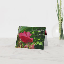 Cartão Placa de Nota de Jardim rosa
