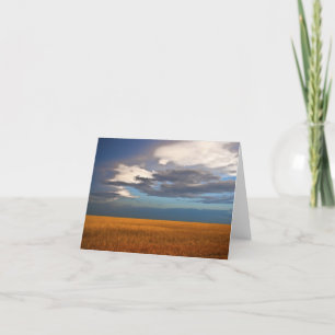 Cartão Placa de Nota de Pintura de Óleo Fino para Campos 