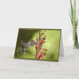 Cartão Placa de Nota de vazio