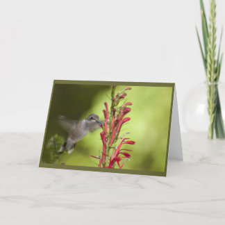 Cartão Placa de Nota de vazio