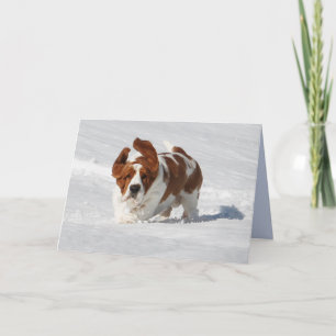 Cartão Placa de Nota de vazio com Hound Belo