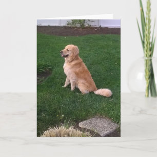 Cartão Placa de Nota de vazio com Jake de Retriever de Ou