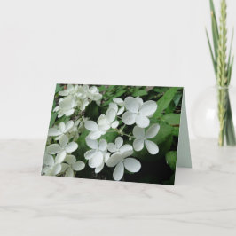 Cartão Placa de Nota de Vazio das Flores de Hydrangea Gee