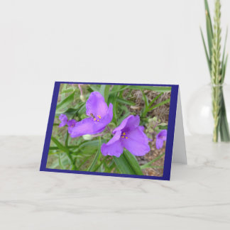 Cartão Placa de Nota de Vazio das Flores de Verniz Aranha