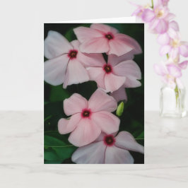 Cartão Placa de Nota de Vazio de Arte Floral Rosa