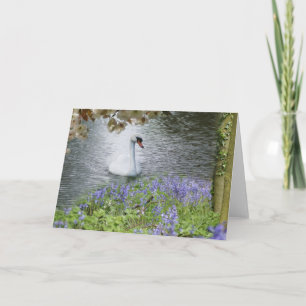 Cartão Placa De Nota De Vazio De Swan Woodland E Blossom