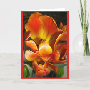 Cartão Placa de nota de Vazio TULIPS