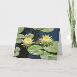Cartão Placa de Nota de Vazio Waterlily