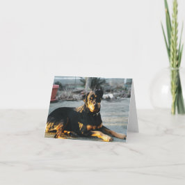 Cartão Placa de Nota do Rottweiler - vazio