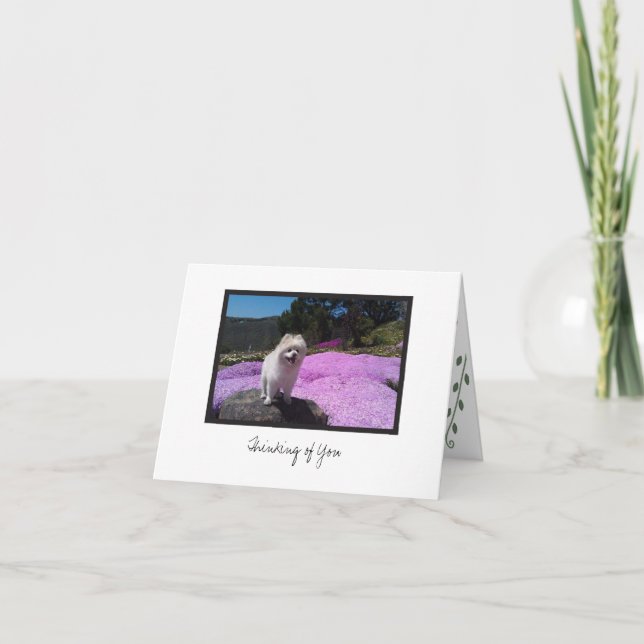 Cartão Placa de Nota do Vazio Cosmo nº 4 (Frente)