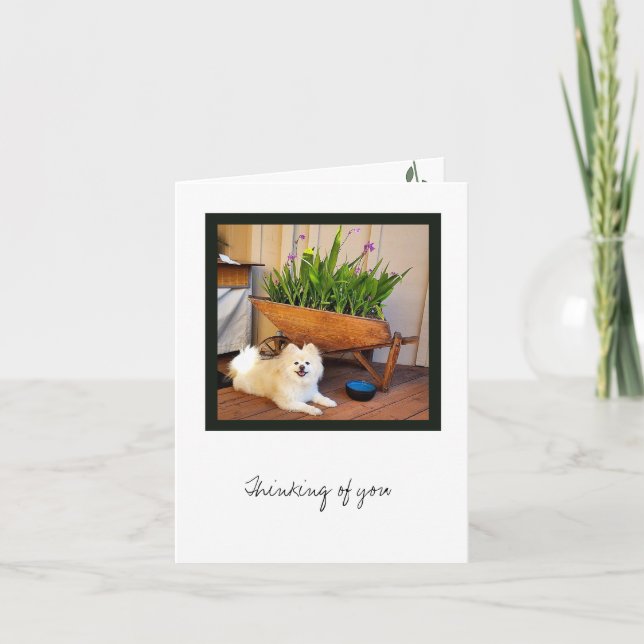 Cartão Placa de Nota do Vazio de Coleção Cosmo (Frente)