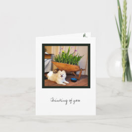 Cartão Placa de Nota do Vazio de Coleção Cosmo