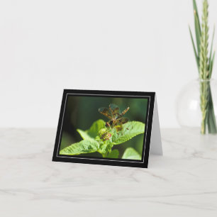 Cartão Placa de Nota do Vazio Dragonfly