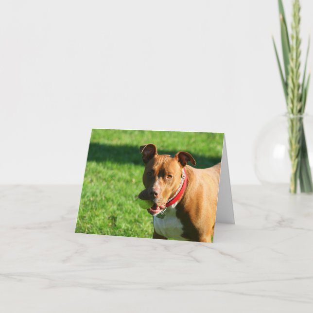 Cartão Placa de Nota Dudley 2 (Frente)