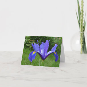 Cartão Placa de Nota Iris de Jardim