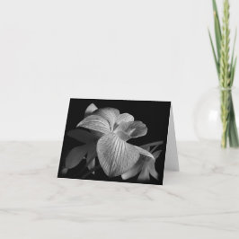 Cartão Placa de Nota Orquídea Preta e Branca