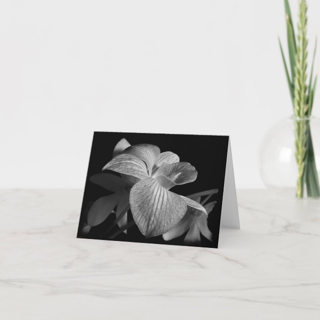 Cartão Placa de Nota Orquídea Preta e Branca (Frente)