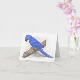 Cartão Placa de Nota para Macaw Inspiration