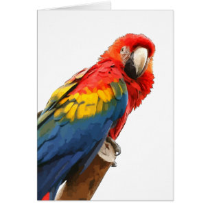 Cartão Placa de Nota para Macaw Scarlet