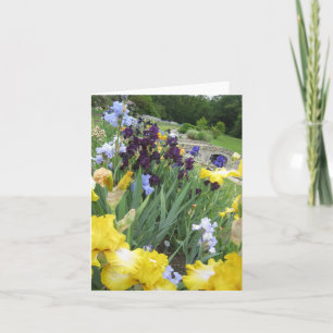 Cartão Placa de Nota para Vazio Pequeno Iris Garden