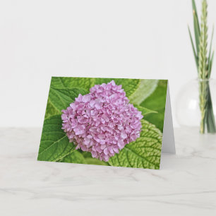 Cartão Placa de Nota Puff de Hydrangea de Lavanda Roxa
