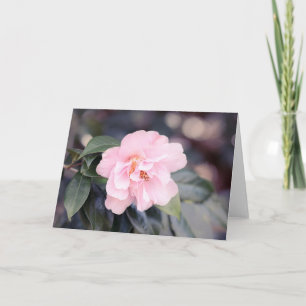 Cartão Placa de Nota Rosa Camellia Japonica