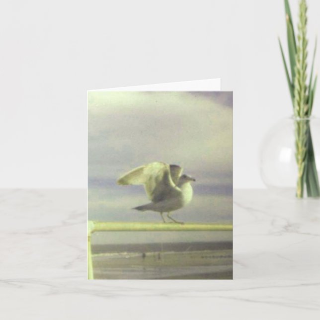 Cartão Placa de Nota Seagull (Frente)