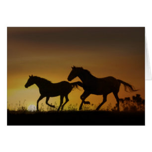 Cartão Placa de Nota Solitária para Cavalos Galopantes