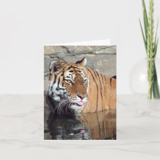 Cartão Placa de Nota Vertical do Vazio Tiger Bengal