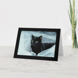 Cartão Placa de Ocasião de Gato Preto