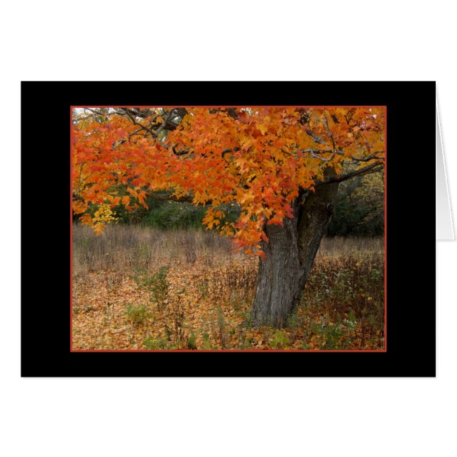 Cartão Placa de outono Amber Nostálgica (Frente Horizontal)