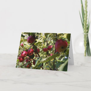 Cartão Placa de Parabéns da "Árvore da Apple"