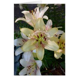 Cartão Placa de Parabéns de Flores Amarelas Espetadas