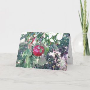 Cartão Placa de Parabéns "Hang Apple"