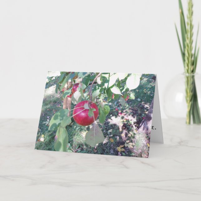 Cartão Placa de Parabéns "Hang Apple" (Frente)