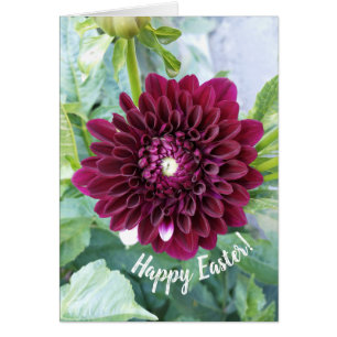 Cartão Placa de Páscoa de Flor Dahlia Roxa Profunda