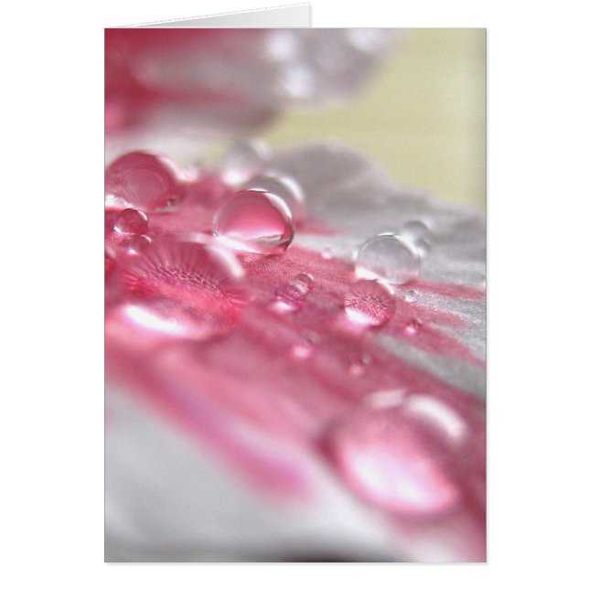 Cartão Placa de Pérolas (Frente)