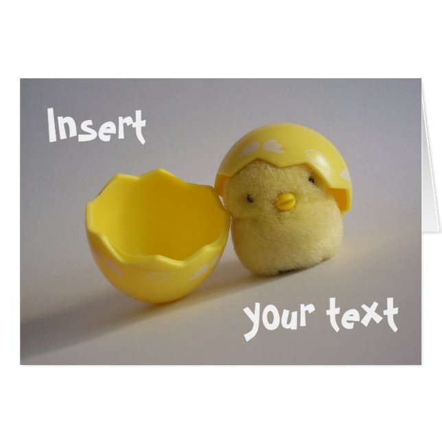 Cartão Placa de Pintinho amarela (Frente Horizontal)