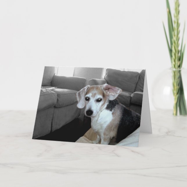 CARTÃO PLACA DE ROCHAS DE REFORMA (Frente)