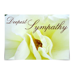 Cartão Placa de Rosa de Rugosa Branca "Deepest Sympathpat