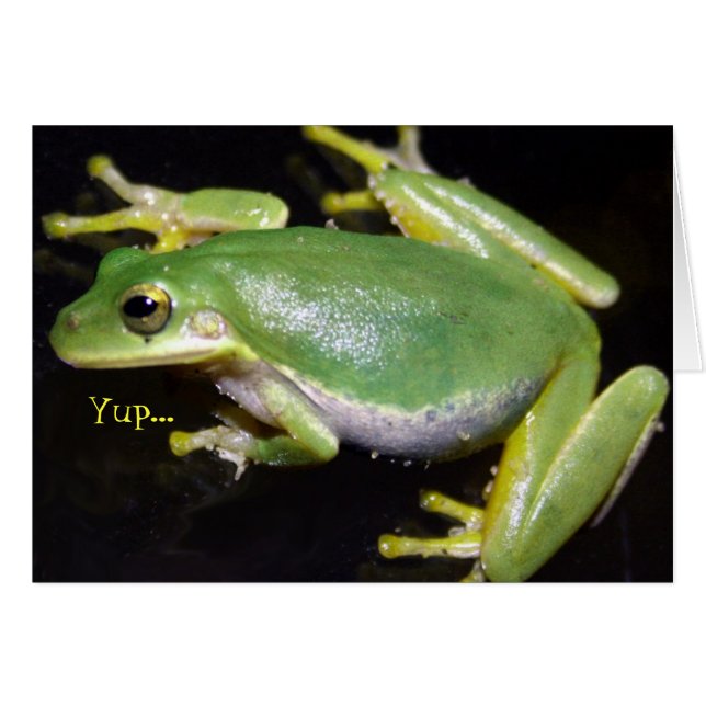 Cartão Placa de Sapo engraçada (Frente Horizontal)