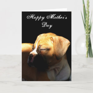 Cartão Placa de saudação Boxer do Dia de as mães Feliz