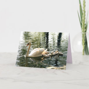 Cartão Placa de Saudação da Família Swan de Dia de as mãe