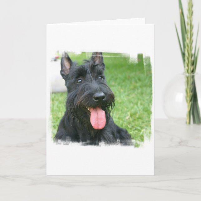 Cartão Placa de Saudação de Cão Terrier Escocês (Frente)