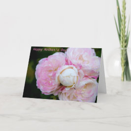 Cartão Placa de saudação de Dia de as mães feliz dobrada