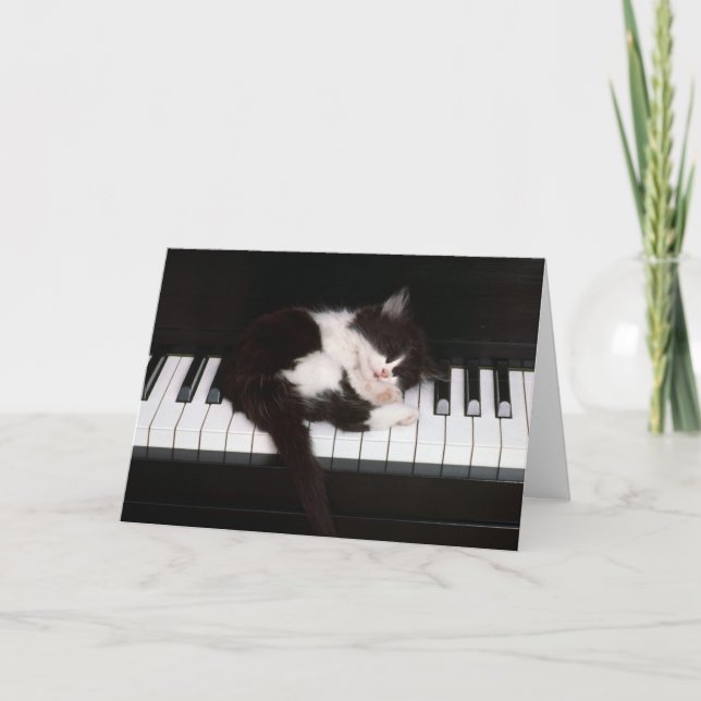 Cartão Placa de saudação de gatinho (Frente)