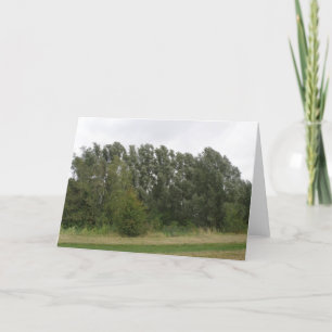 Cartão Placa de Saudação de Paisagem de Palangres
