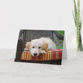 Cartão Placa de saudação de puppy com porta do ouro