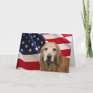 Cartão Placa de Saudação de Retriever de ouro