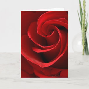 Cartão Placa de saudação de rosa vermelha